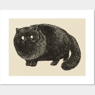 Black Cat Cat Posters and Art